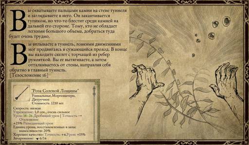 Pillars of Eternity - «Pillars of Eternity»  - впечатления нуба (часть третья)